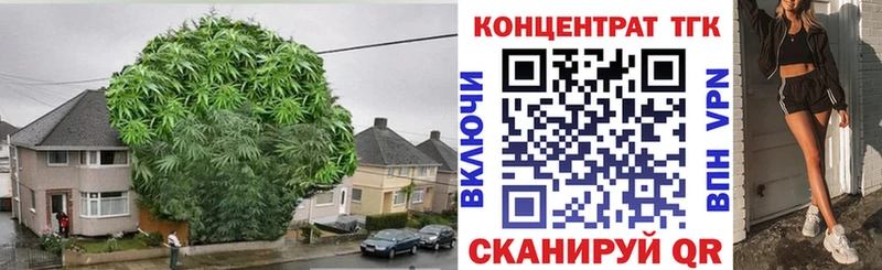 ТГК THC oil  гидра ONION  Ессентуки 