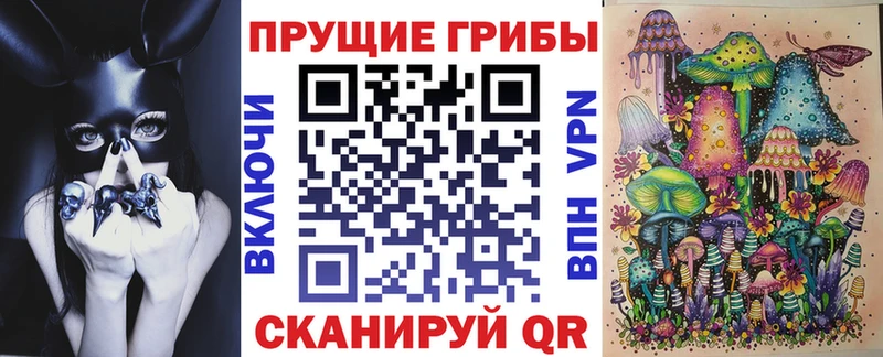 кракен ТОР  что такое наркотик  Ессентуки  Псилоцибиновые грибы Cubensis 