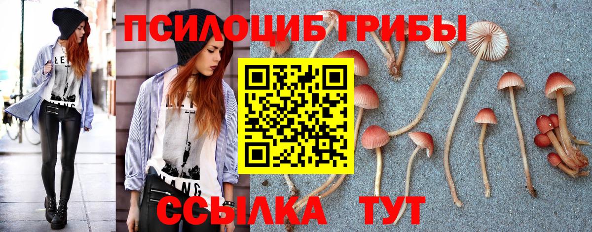 Псилоцибиновые грибы ЛСД Ессентуки