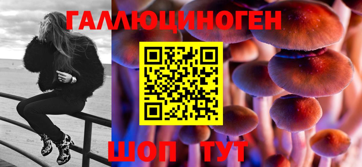 Псилоцибиновые грибы прущие грибы  Вход с VPN  Ессентуки  Псилоцибиновые грибы ЛСД 