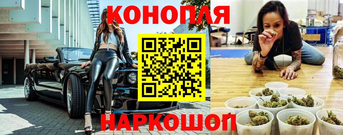 Бошки марихуана планчик Ессентуки